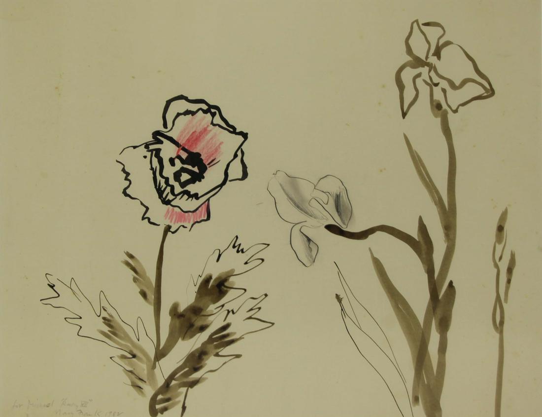 MARY FRANK (ENGLISH, b. 1933).: Ink and Wash with Watercolor. Flowers. 1982. Signed, dated, and dedicated lower left. From a Rockland County, NY collection. - Dimensions: 13" high x 16.5" wide