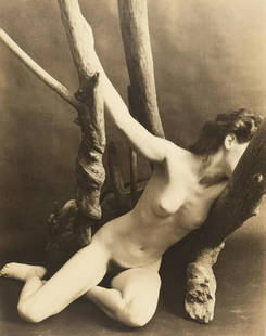 R.Terner Signed Photograph Nude.: Signed in pencil and from a Westchester storage. - Dimensions: 13" x 10"