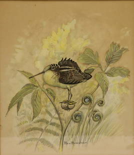 Rex Brasher Signed Watercolor Bird.: Signed and from a Westchester storage. - Dimensions: 12" x 10"