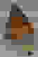 item-81489469=5
