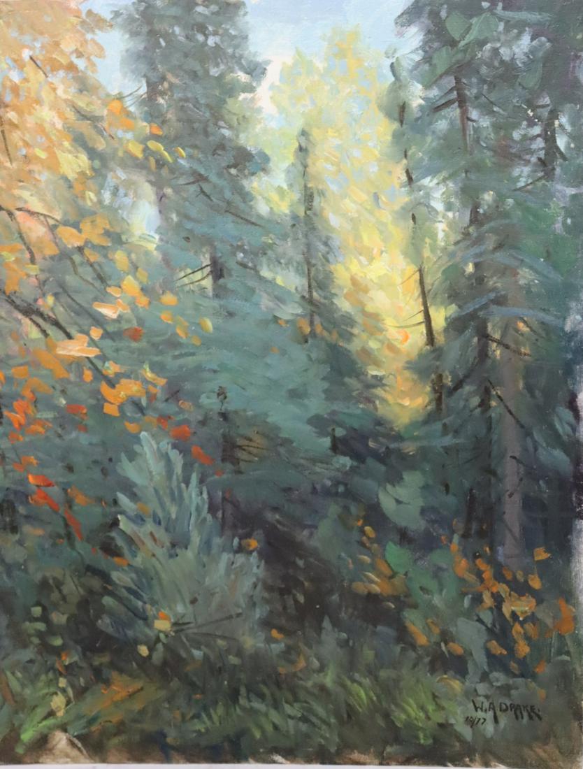 William A.Drake Signed Oil On Board Forest Scene. (1 of 3)