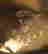item-101767534=7