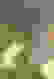 item-103045052=5