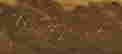 item-106855730=3