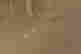 item-106855730=6