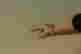 item-106855730=7