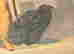item-106855730=9