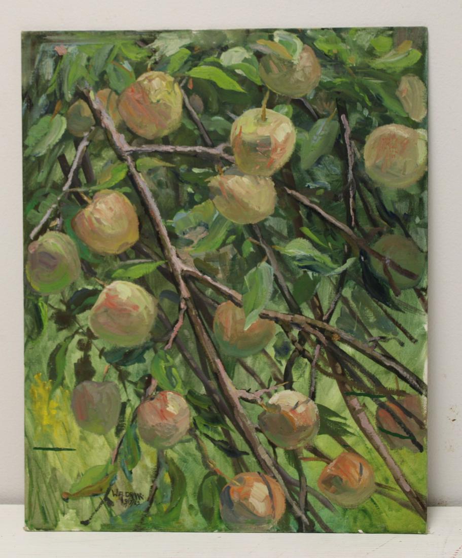 W. A. Drake Signed & Dated Oil On Board Apples. (1 of 3)