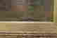 item-110328514=3