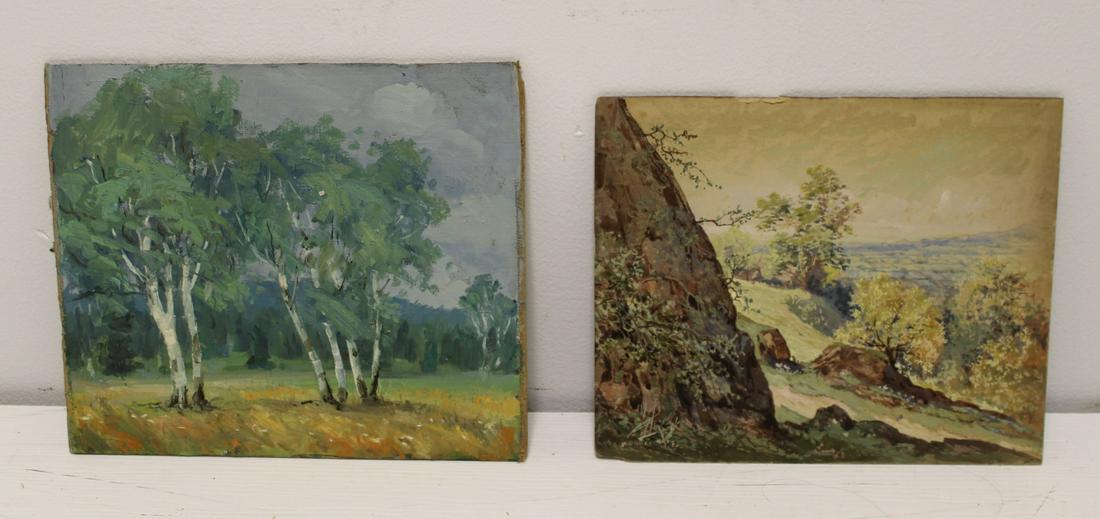 2 W.A. Drake Oil Landscapes.: One oil on paper signed lower left. One oil on canvas laid to board apparently unsigned. Paper has drawings verso. Paper: 9.25" high x 11.5" wide. Canvas: 10" high x 12" wide. From