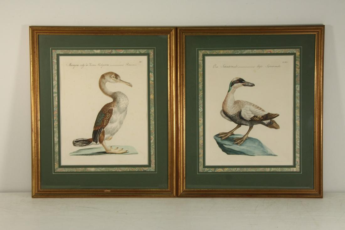 MANETTI (AFTER). (1 of 12)