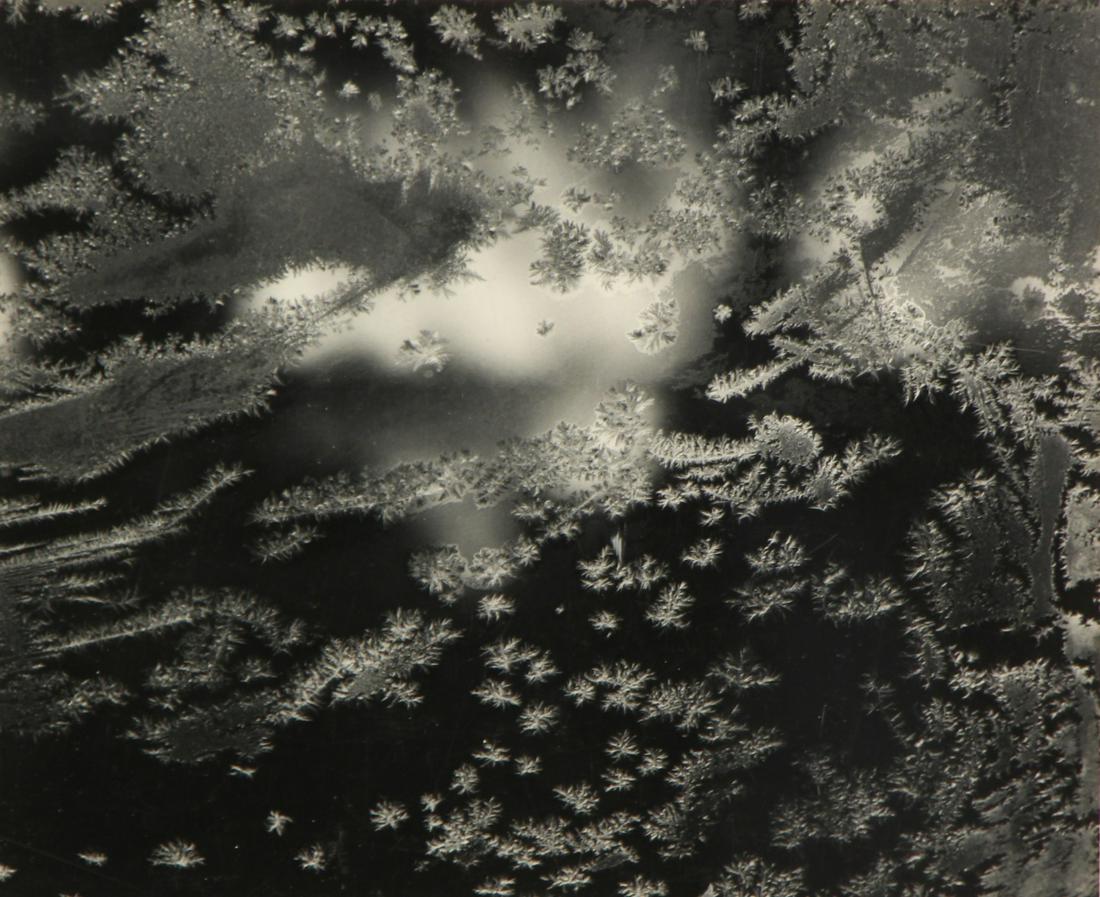 PAUL CAPONIGRO (AMERICAN, b. 1932).: Photograph. "Frosted Window # 1". "Photography in the Fine Arts" stamps verso. From a Chappaqua, NY collection. - Dimensions: 7.5" high x 9.5" wide