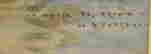 item-119759993=3