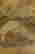 item-119772438=6