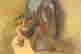 item-123381840=4