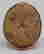 item-126868616=2