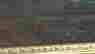 item-127430898=3