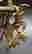 item-129306534=4