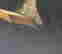 item-131508157=4