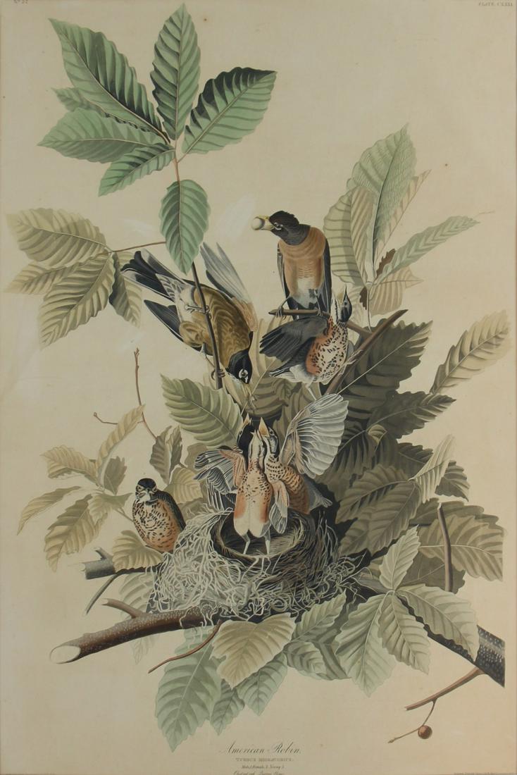 JOHN JAMES AUDUBON (After), (AMERICAN,1785-1851). (1 of 9)