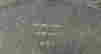 item-131508311=9