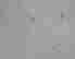 item-131508382=12
