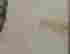 item-131508382=7