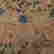 item-131508430=12