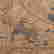item-131508430=18