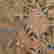 item-131508430=19