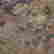 item-131508430=8