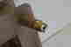 item-131508519=8