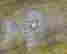 item-131508554=14
