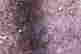 item-131508692=6