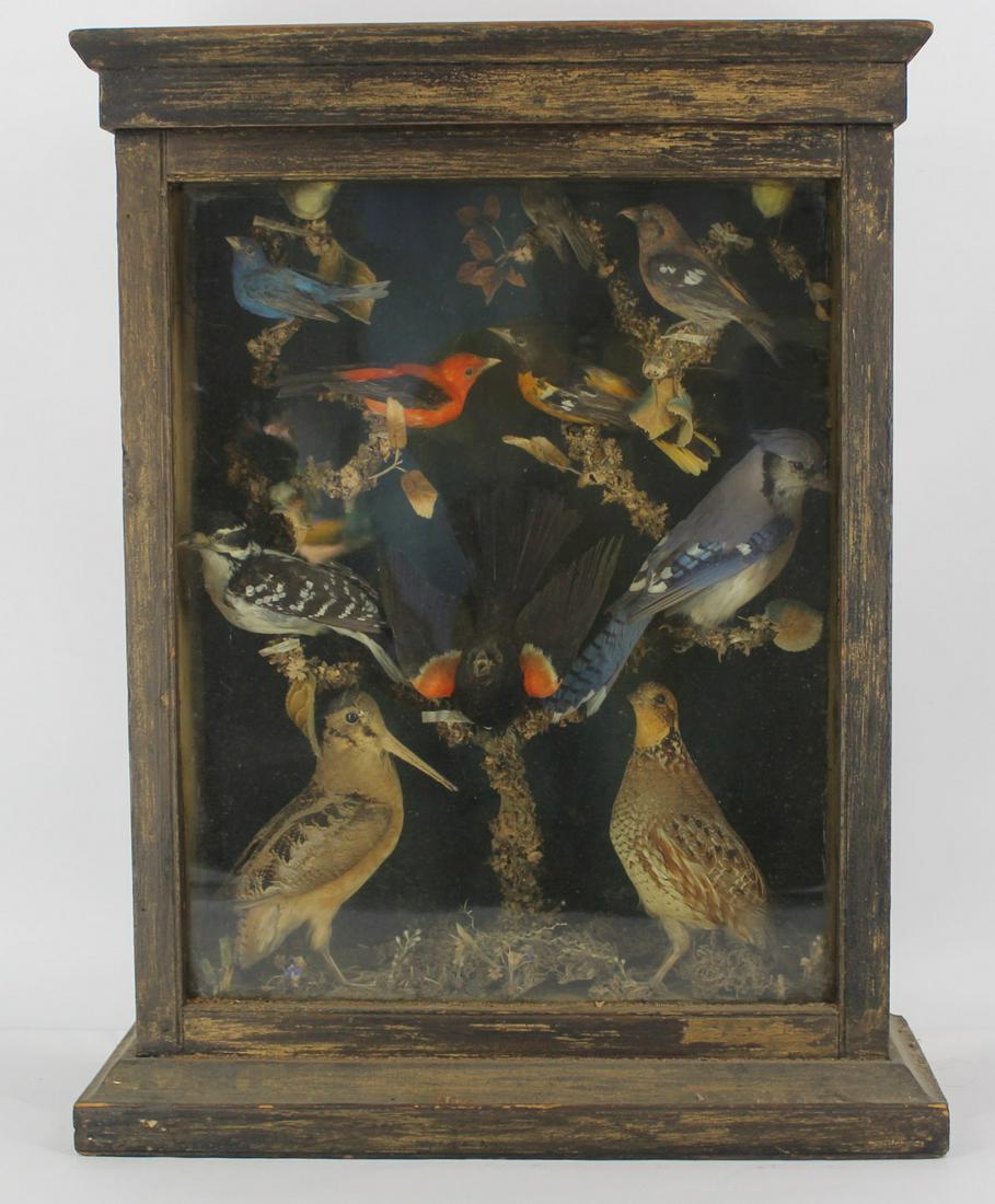 Victorian Taxidermy Diorama. (1 of 5)