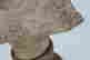 item-136478090=8