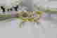 item-136478130=20