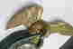 item-136478137=9