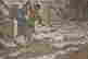 item-136478288=7