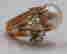 item-136478430=6