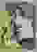 item-10604424=4
