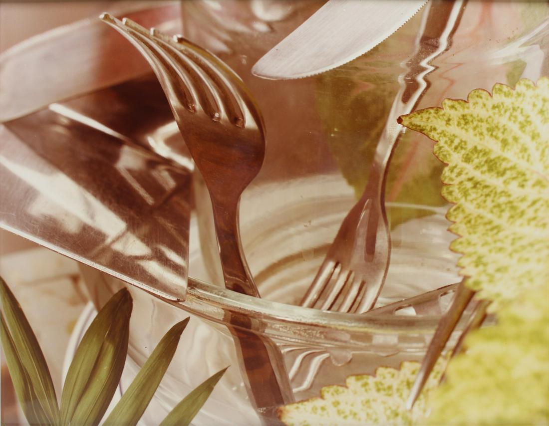 JAN GROOVER (AMERICAN, 1943-2012). (1 of 10)