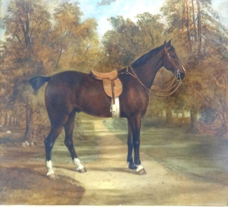 19th Century Oil on Canvas of a Horse.: Possibly signed VINE (?) lower left, possibly John Vine, British, 1809-1867. From a Long Island, NY estate. Dimensions: 25.25" high x 29.75" wide. Condition: Old discolored inpainting top center.