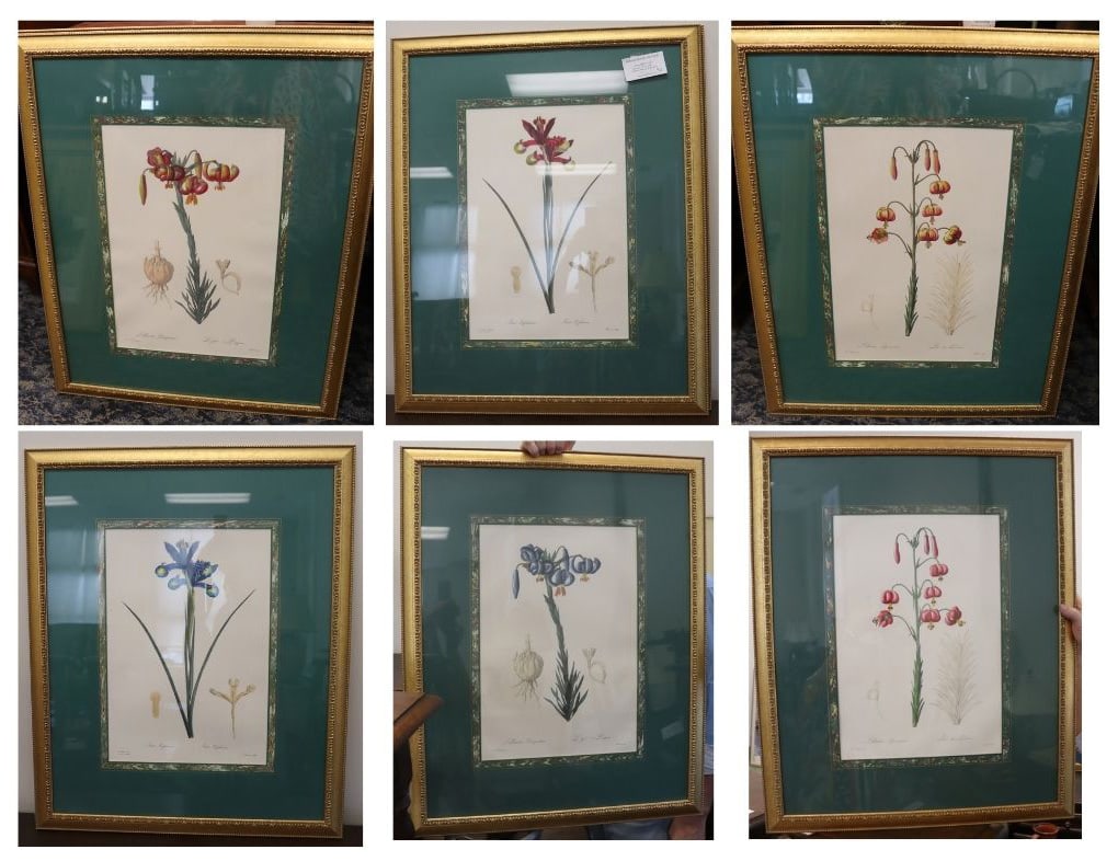Collection of (6) Framed Botanical Prints. (1 of 9)