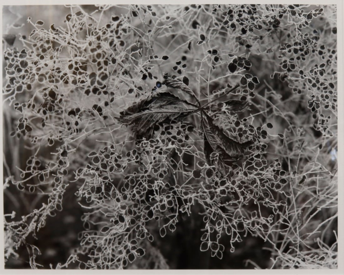 EDWARD STEICHEN (AMERICAN, 1879-1973). [2 WORKS]. (1 of 9)