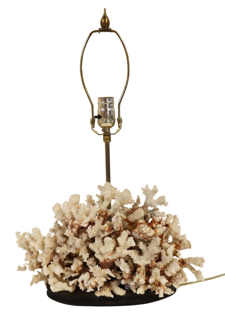 Large Coral Specimen Mounted as a Lamp. (1 of 9)
