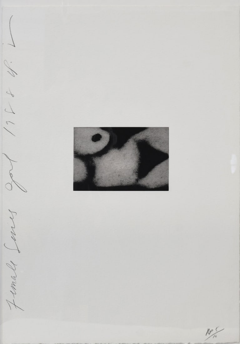 DONALD SULTAN (AMERICAN, b. 1951) [11 WORKS].: The Female Series: April 1988 (Suite of 11). 1988. Etching and aquatint on Arches watercolor paper. Each signed, titled and dated vertically left side and numbered 'AP5/10' lower right corner in penci