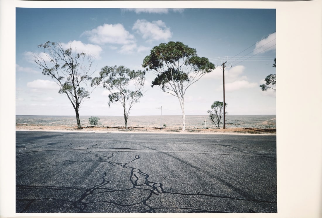 MICHAEL HALL (NEW ZELANDER, B. 1965). (1 of 12)