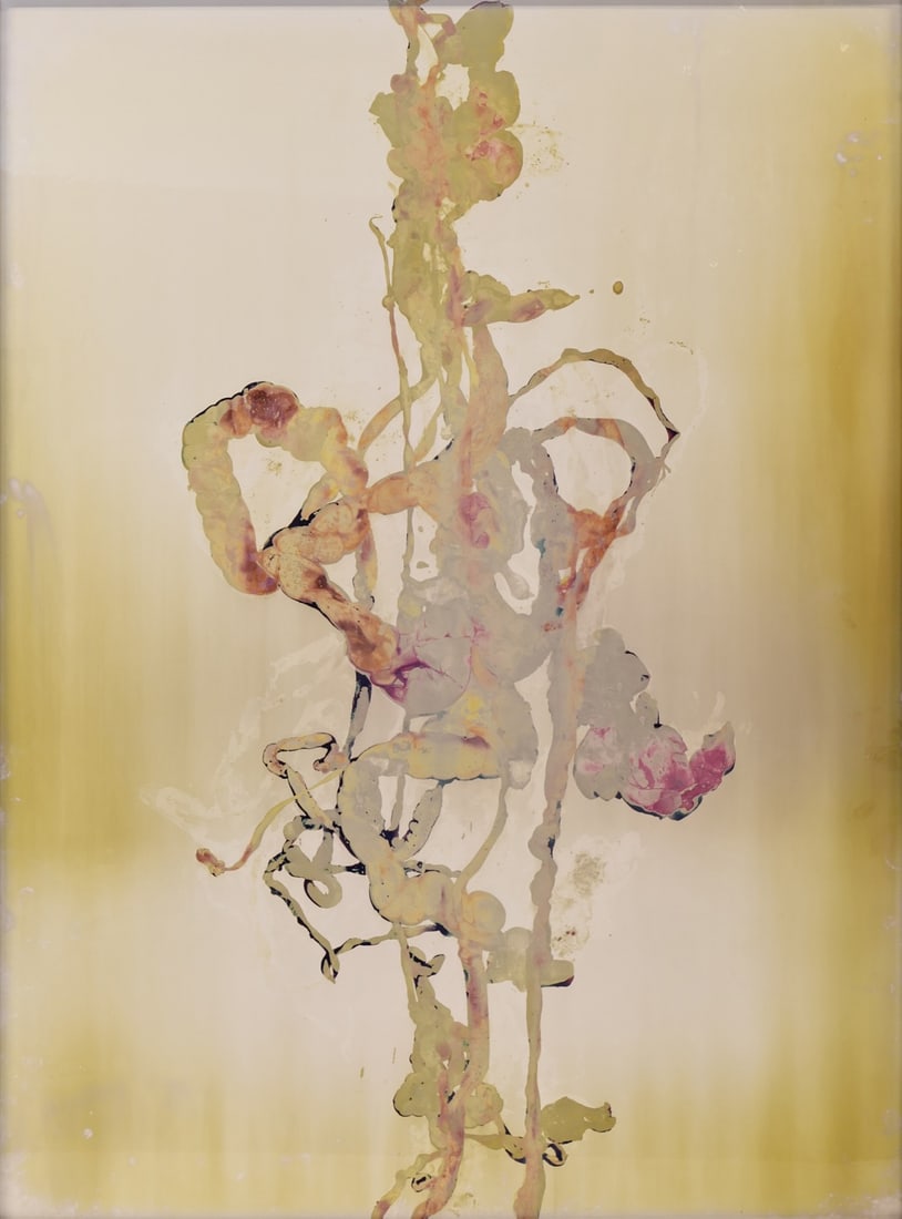 ADAM FUSS (AMERICAN / BRITISH, B. 1961): Untitled (Details of Love). Cibachrome Photogram. Provenance: Robert Miller Gallery, NYC; Clare Walker Fine Art,Tarrytown, NY. Property from a Tarrytown, CT collection. Dimensions: 40" h x 30&quo