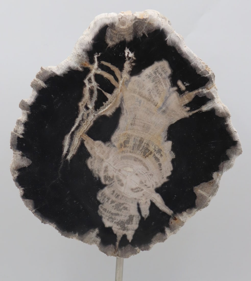 Geode Style Specimen on Marble Base. - 5